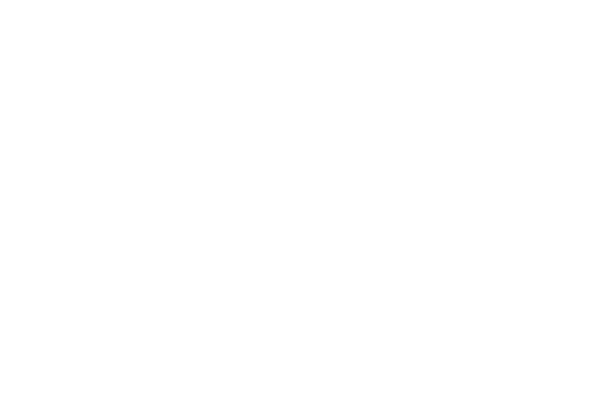 Donation - $100